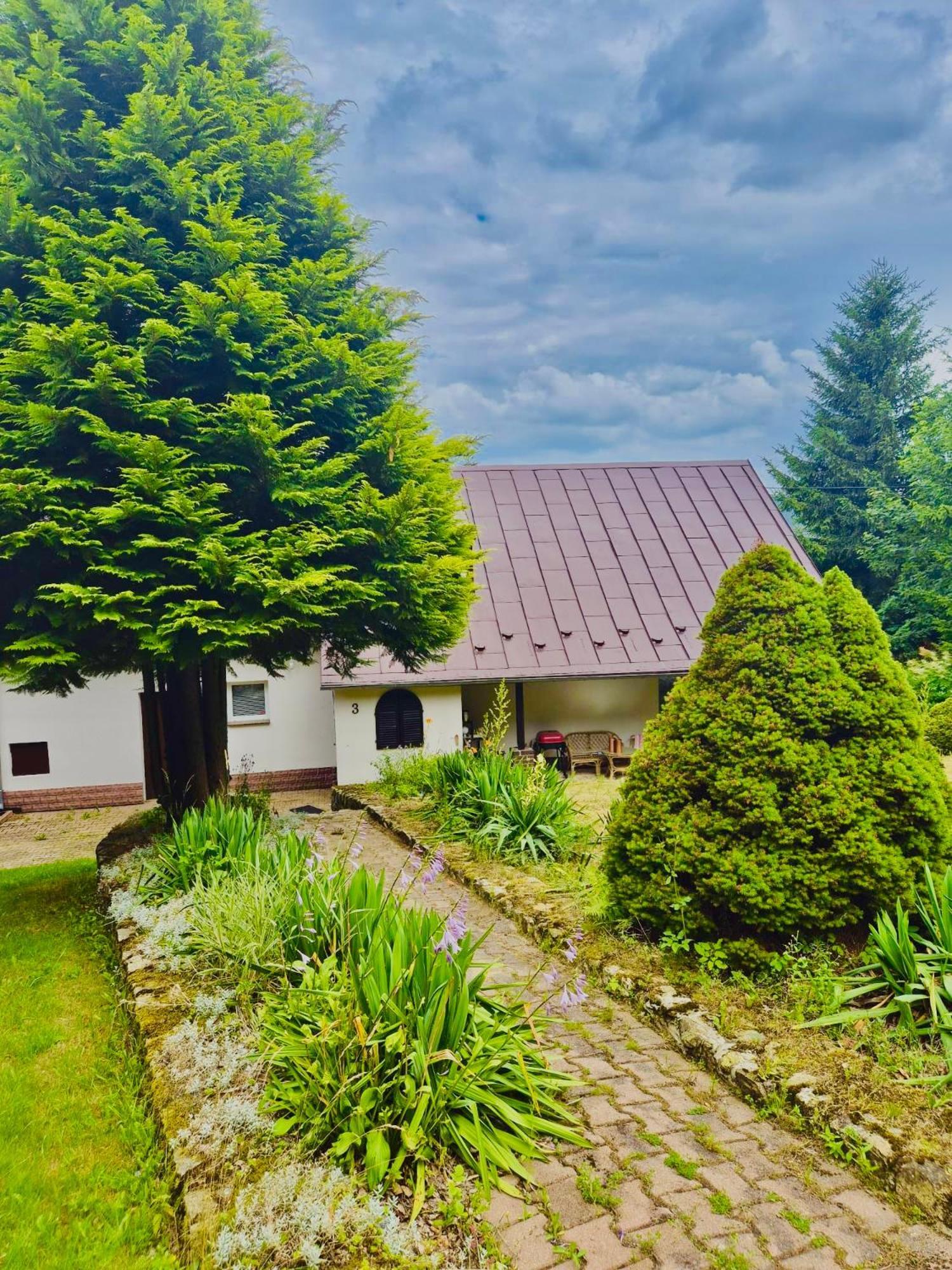 Wiejski W Izerach Mountain Aparts Apartament *